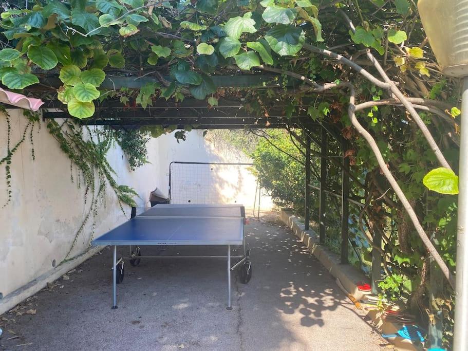 Villa Magnifique Familiale Avec Piscine Nice